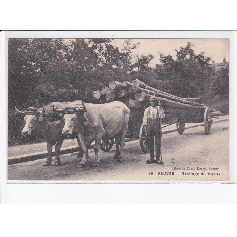 SEMUR: attelage de boeufs - très bon état