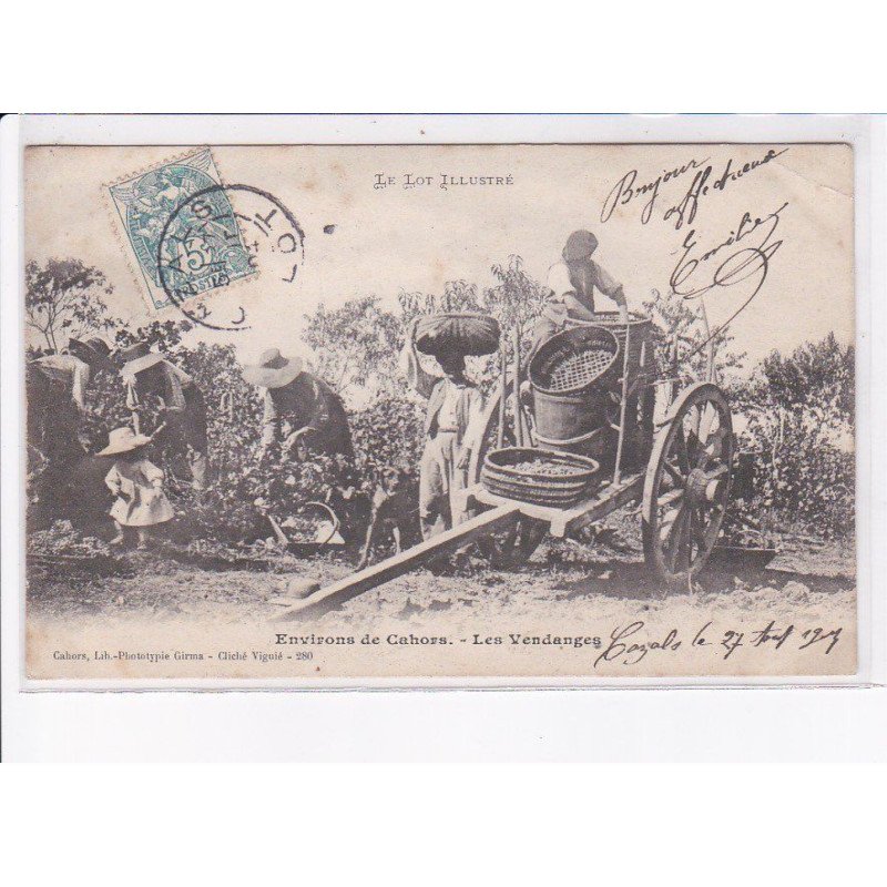 lot: environs cahors, les vendanges - état