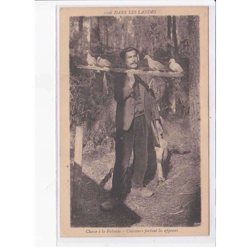 LANDES: chasse à la palombe, chasseurs portant les appeaux - trèz bon état