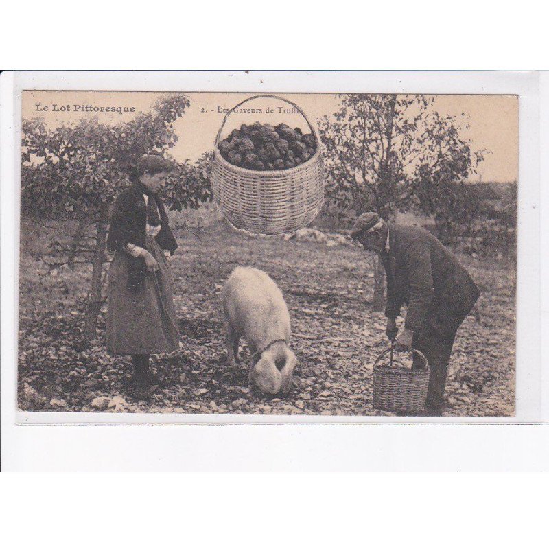 LOT: les graveurs de truffes - très bon état