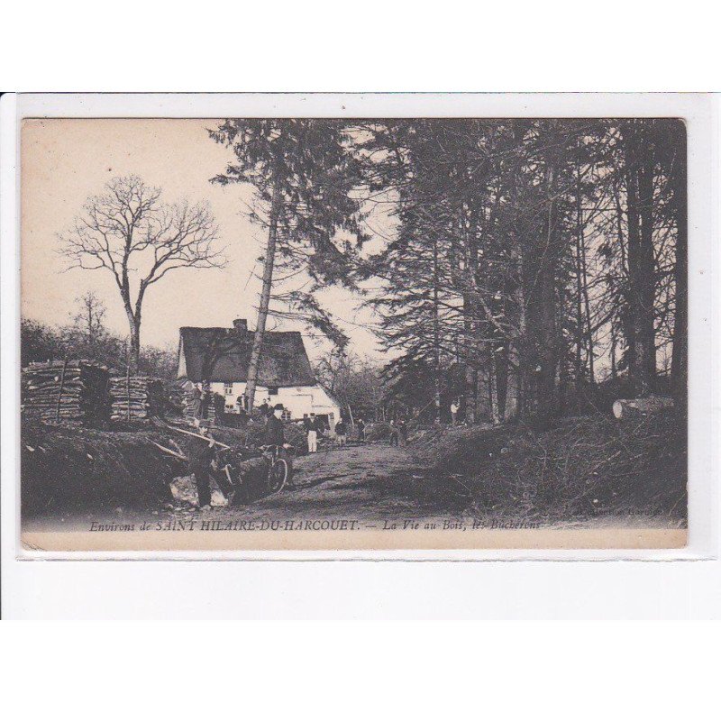 environs SAINT-HILAIRE-du-HARCOUET: la vis au bois, du bûcherons - état