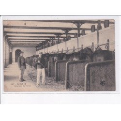 SAINT-LÔ: intérieur du haras - état