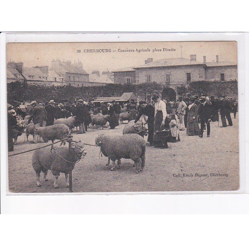 CHERBOURG: concours agricole place divette - état