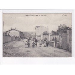 MALZEVILLE: rue du lion-d'or - très bon état