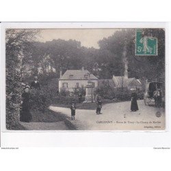 CARLEPONT: route de tracy, le champ du merlier - état