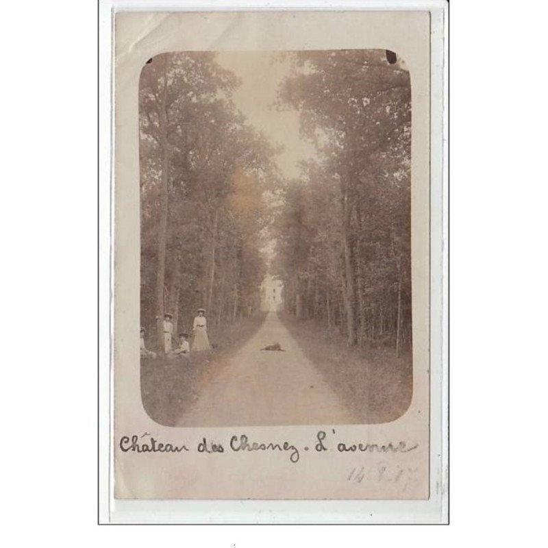CHATEAU  DES CHESNEZ : l'avenue - très bon état