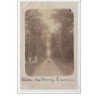 CHATEAU  DES CHESNEZ : l'avenue - très bon état
