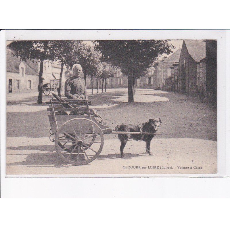 OUZOUER-sur-LOIRE: voiture à chien - très bon état