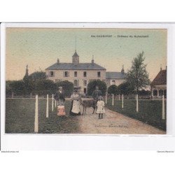 SAINTE-GAUBURGE: château de nuisement - très bon état