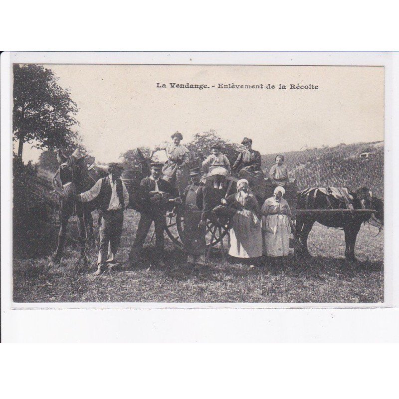 SAÔNE ET LOIRE: les vendanges, enlèvement de la récolte - très bon état