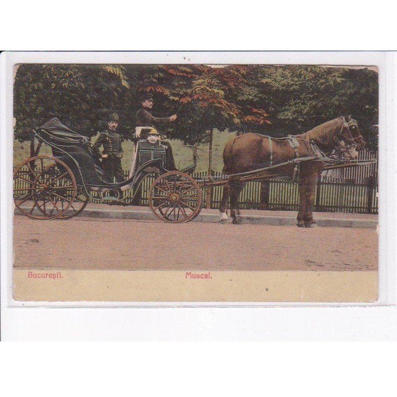 ROUMANIE: BUCARESTE: muscal, attelage - très bon état