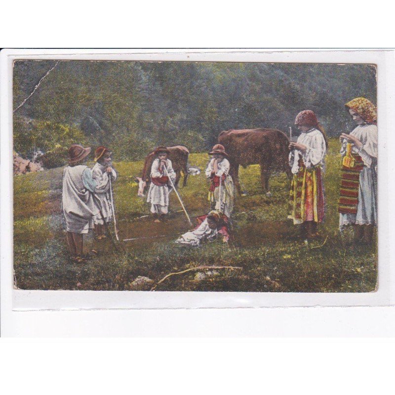 ROUMANIE: vedere la tara, la pasune - état