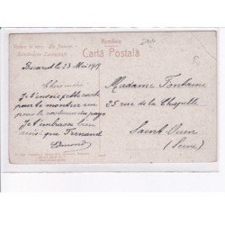 ROUMANIE: vedere la tara, la pasune - état