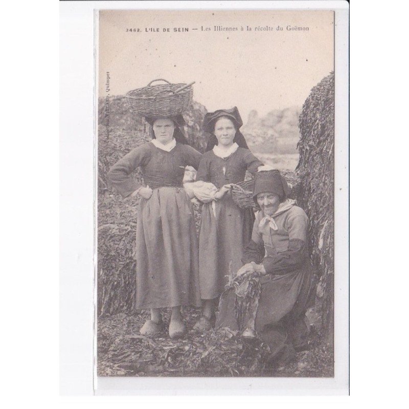 L'ILE-de-SEIN: les illliennes à la récolte du goëmon - très bon état