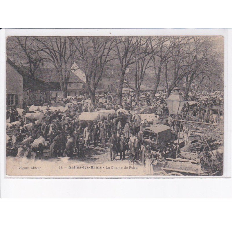 SALINS-les-BAINS: le champ de foire - état