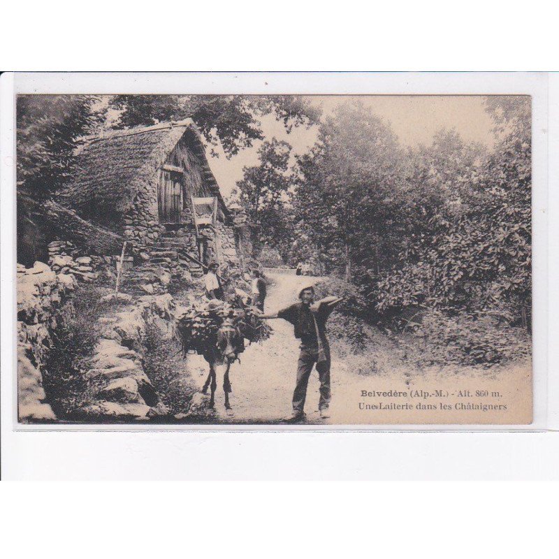 BELVEDERE: une laiterie dans les châtaigners - très bon état