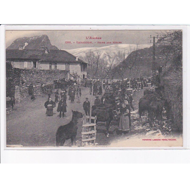 TARASCON: foire aux mules - très bon état