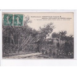 SAINT-LAURENT: établissements arbonville-vialle - très bon état