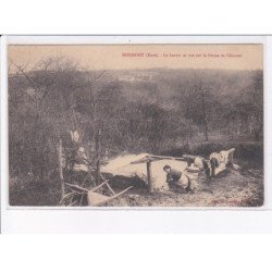 DORMONT: le lavoir et vue sur la ferme de clémont - très bon état