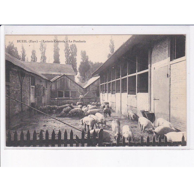 BUEIL: laiterie centrale, la porcherie, cochons - très bon état