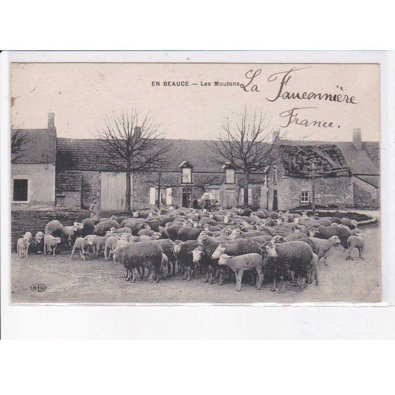 EURE ET LOIR: en beauce, les moutons - très bon état