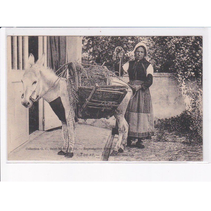 ILE-de-RE: femme et âne - très bon état