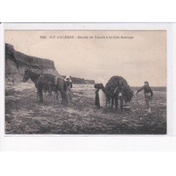 ILE D'OLERON: récolte du varech à la côte sauvage - très bon état
