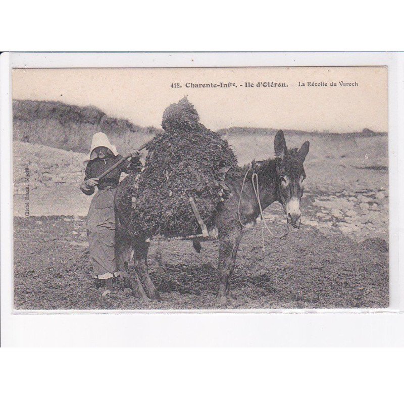 ILE D'OLERON: la récolte du varech - très bon état