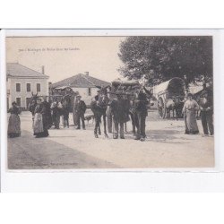 LANDES: attelages de mules dans les landes - très bon état