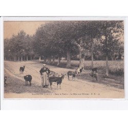 SAINT-AVERTIN: dans la prairie, la mère aux chèvres - état