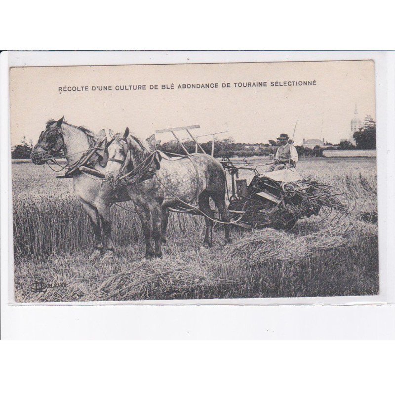 CINQ-MARS-la-PILE: récolte culture blé abondance touraine sélectionné attelage agricole Poirier-Georgel - très bon état