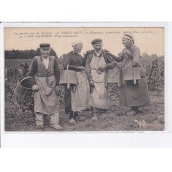 JOUE-lez-TOURS: les grands crus de touraine, le noble-joué - très bon état