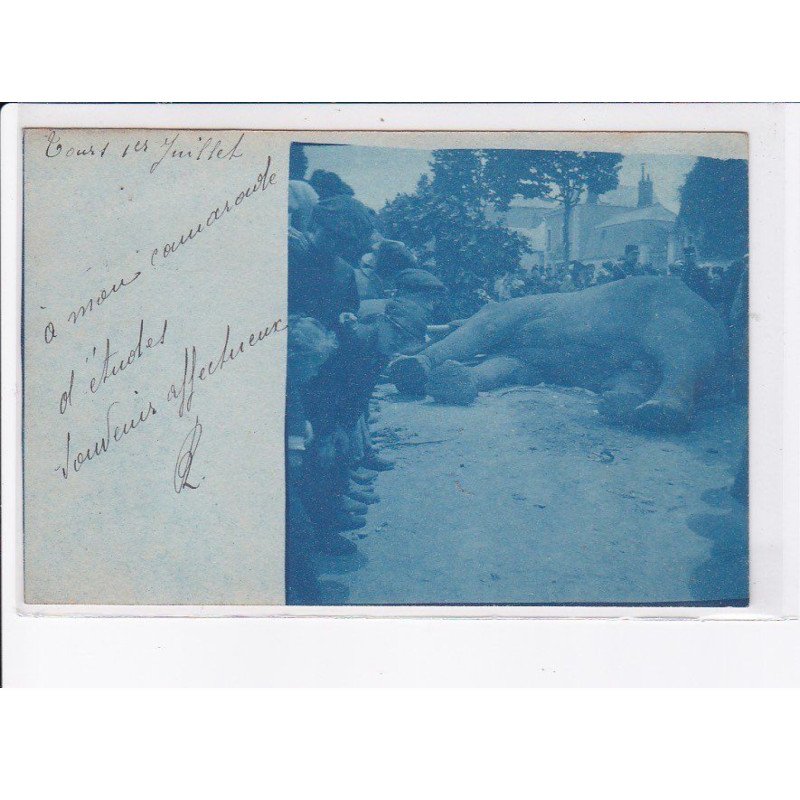 TOURS: éléphant "fritz" - très bon état