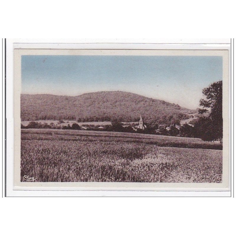 AINVELLE : vue generale avec ses cote boisées - tres bon etat