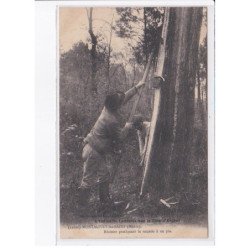 MONTALIVET-les-BAINS: résinier pratiquant la saigné à un pin, bois - très bon état