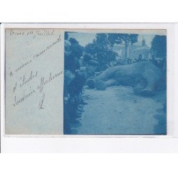 TOURS: éléphant "fritz" - très bon état