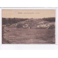 SABLES-D'OR-les-PINS: le golf - état