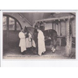 LILLE: institut pasteur saignée d'un cheval pour la préparation du sérum antivenimeux - très bon état