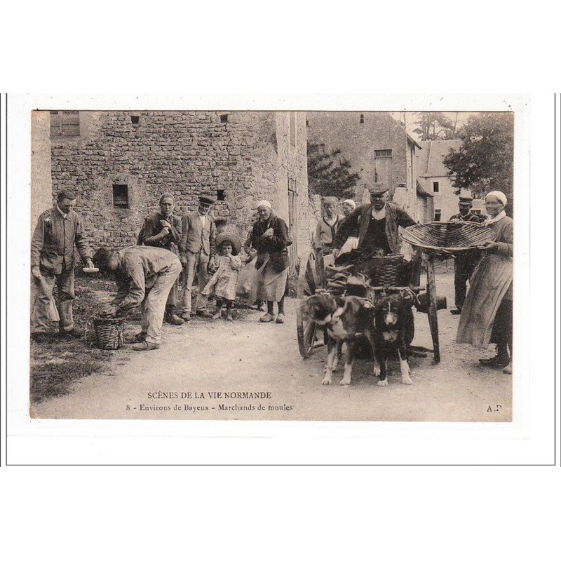 SCENES DE LA VIE NORMANDE - Environs de BAYEUX - marchands de moules (voiture a chien) - très bon état