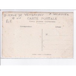 FRANCE: à localiser, carte photo, scène de vendanges, vin - très bon état