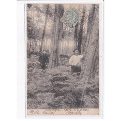 HOSTEINS: récolte de la résine, bois - très bon état