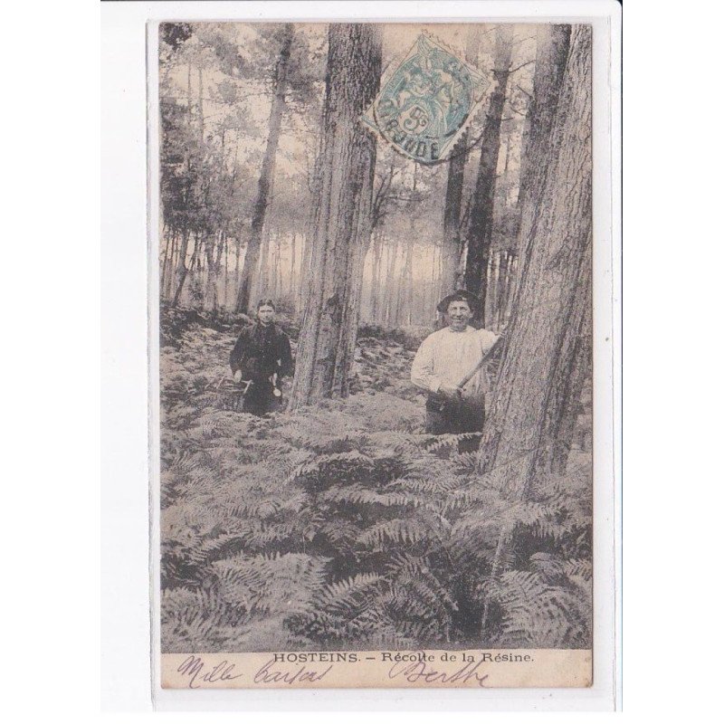 HOSTEINS: récolte de la résine, bois - très bon état