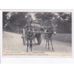 GIRONDE: attelage landais transportant la résine dans les landes de gascogne, ânes - très bon état