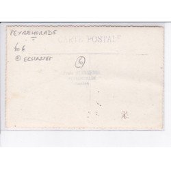 PEYREHORADE: echasses - très bon état