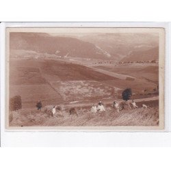 VILLARD-de-LANS: fenaisons, agriculture - très bon état