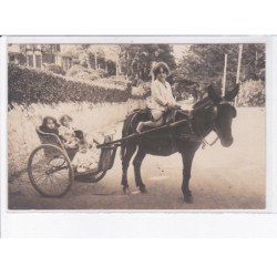 LA BAULE: attelage, âne, enfant, bébés - très bon état