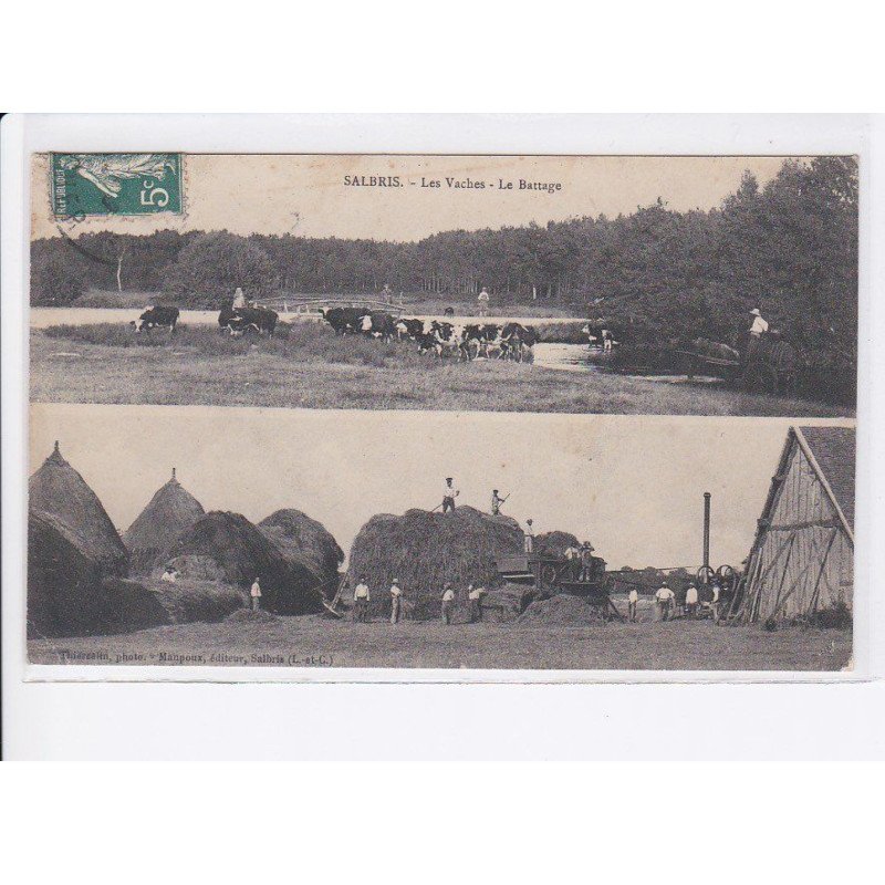 SALBRIS: les vaches, le battage, agriculture - état