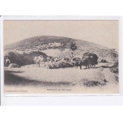 LOT: batteurs de blé noir - état