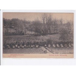 MACHEIL: rucher de M. Mellier, apiculture - très bon état
