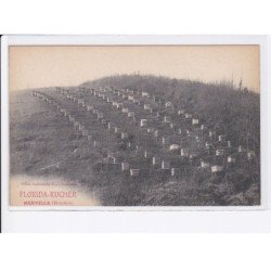 MERVILLA: florida-rucher, apiculture - très bon état